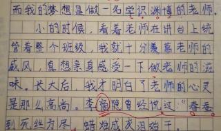 作文我的老师400字